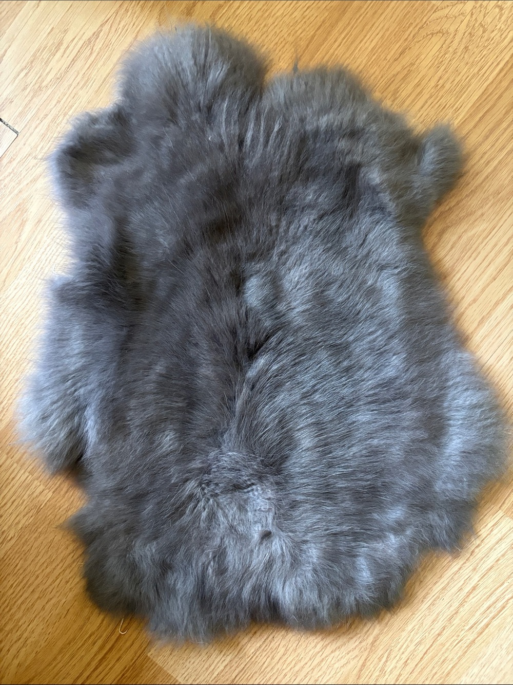 B0121 rabbit pelt